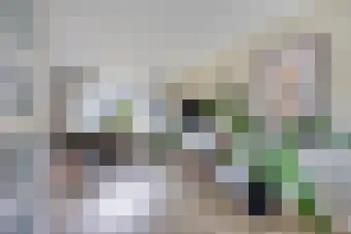 De Meent 11 Renswoude thumbnail 8