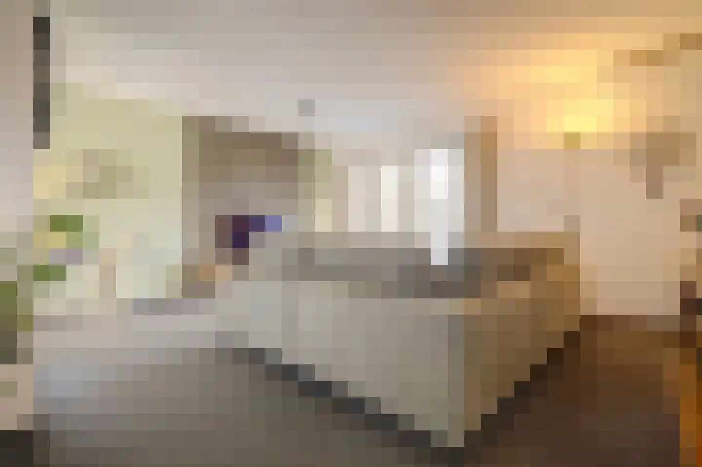 De Meent 17 A Wanssum thumbnail 13
