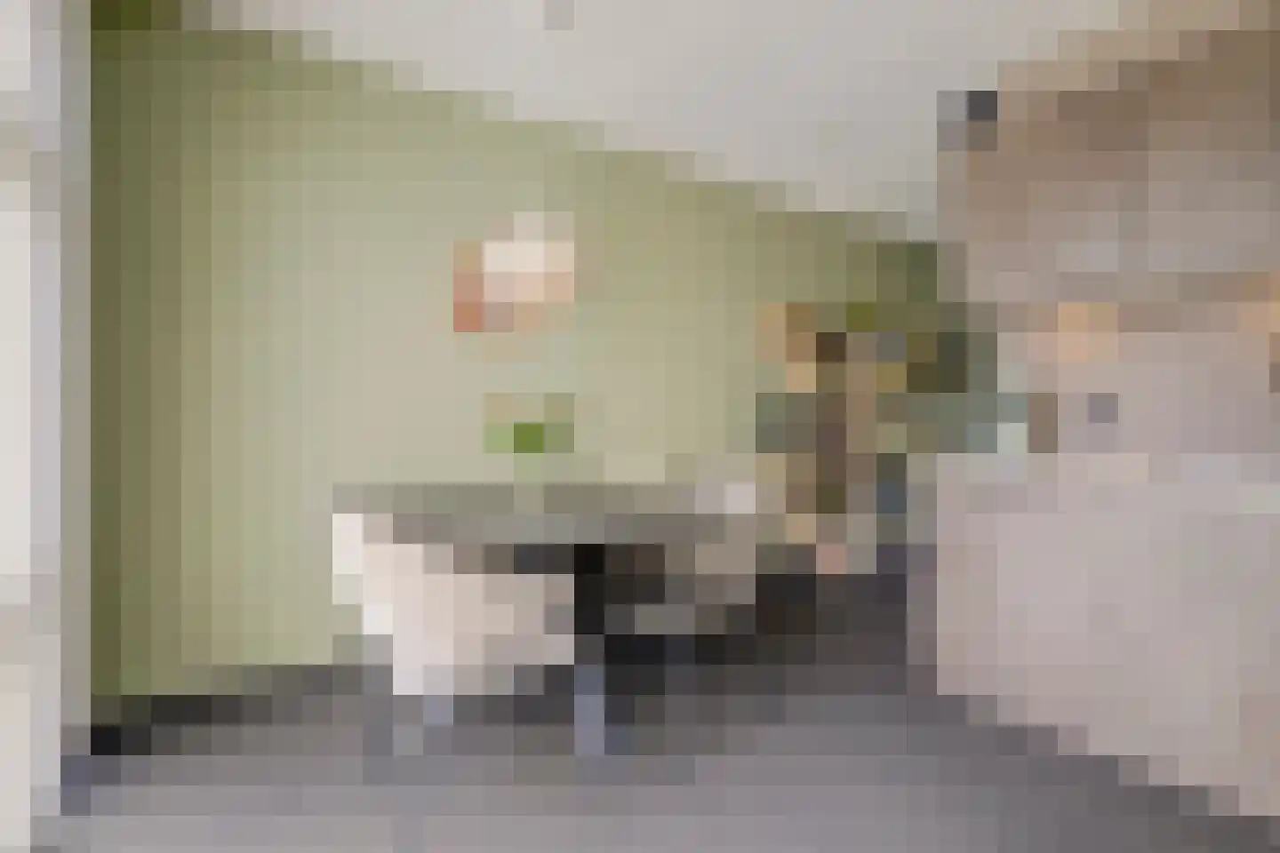 De Meent 17 A Wanssum thumbnail 17