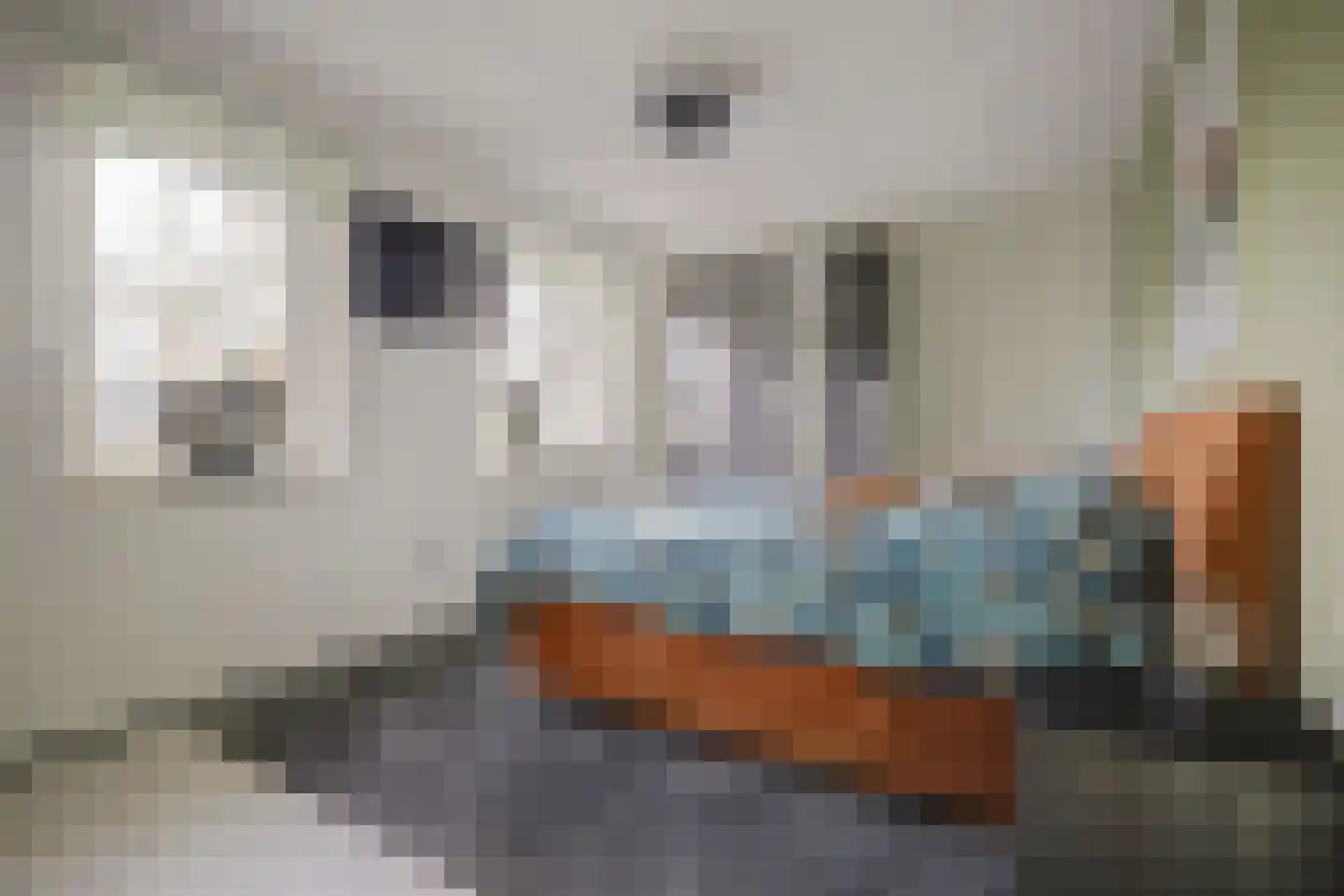 De Meent 17 A Wanssum thumbnail 20