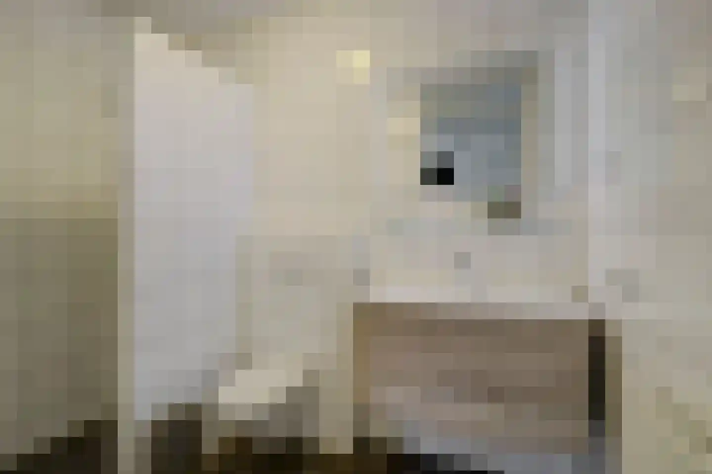 De Meent 17 A Wanssum thumbnail 24