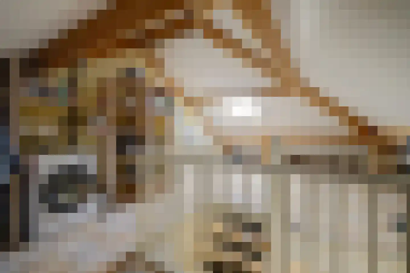 De Meent 17 A Wanssum thumbnail 26