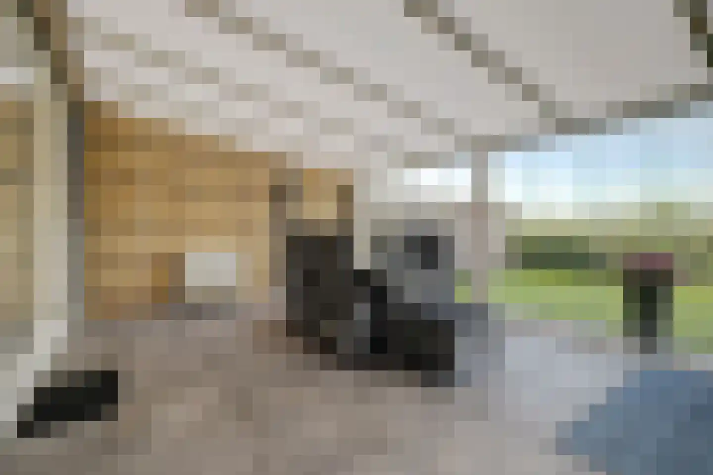 De Meent 17 A Wanssum thumbnail 29