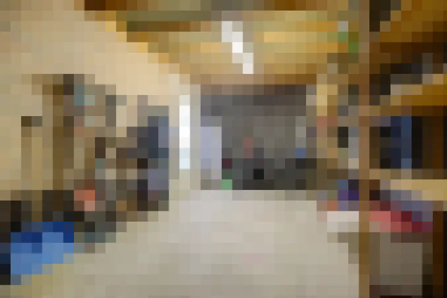 De Meent 17 A Wanssum thumbnail 31