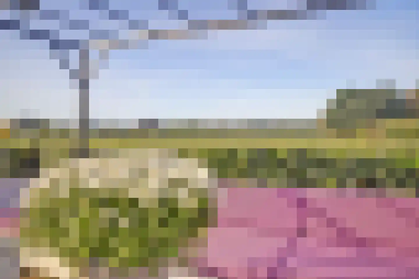 De Meent 17 A Wanssum thumbnail 38