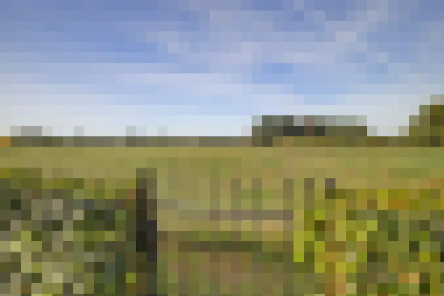 De Meent 17 A Wanssum thumbnail 40