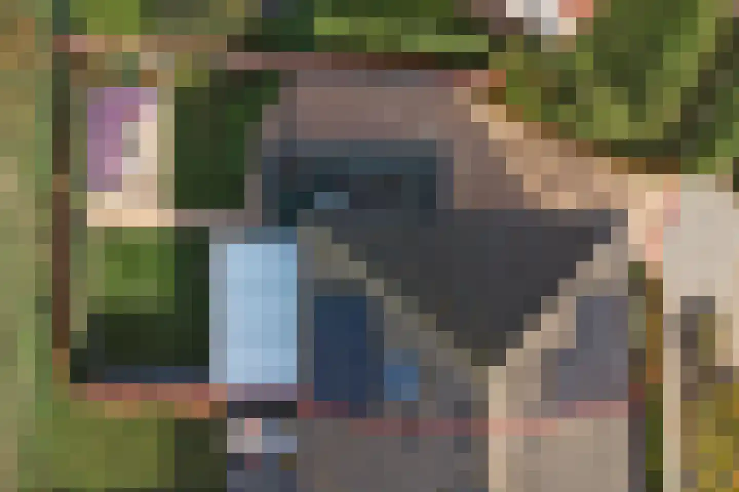 De Meent 17 A Wanssum thumbnail 43