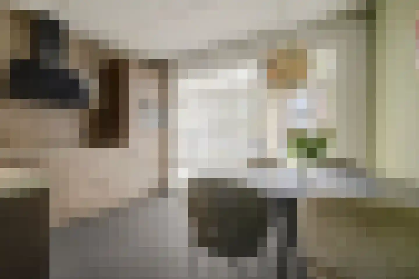 De Meent 17 A Wanssum thumbnail 5