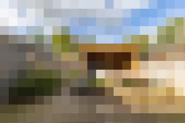 De Meent 17 Drachten thumbnail 18