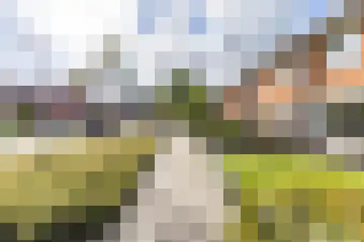 De Meent 17 Drachten thumbnail 4