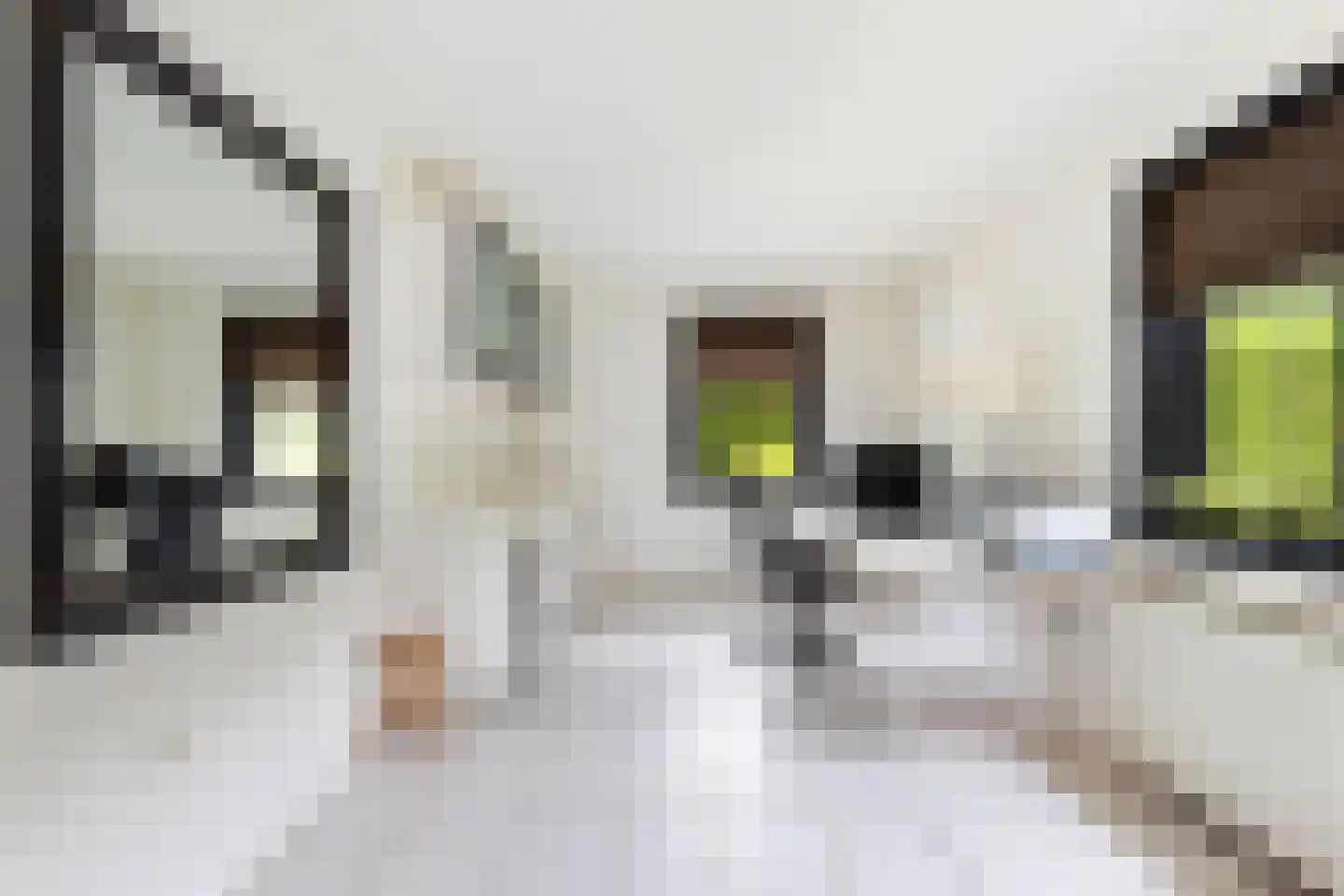 De Meent 20 Renswoude thumbnail 14
