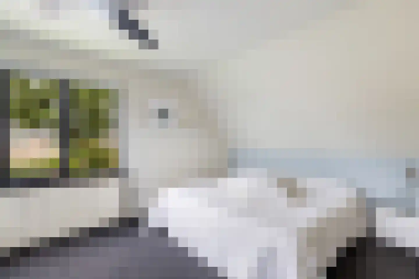 De Meent 20 Renswoude thumbnail 19