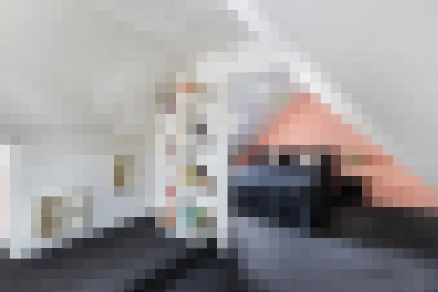 De Meent 20 Renswoude thumbnail 24