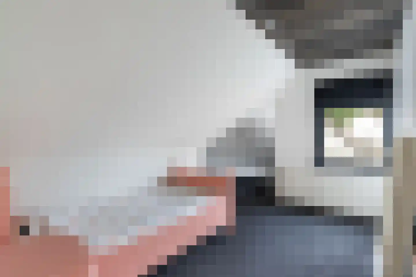 De Meent 20 Renswoude thumbnail 25