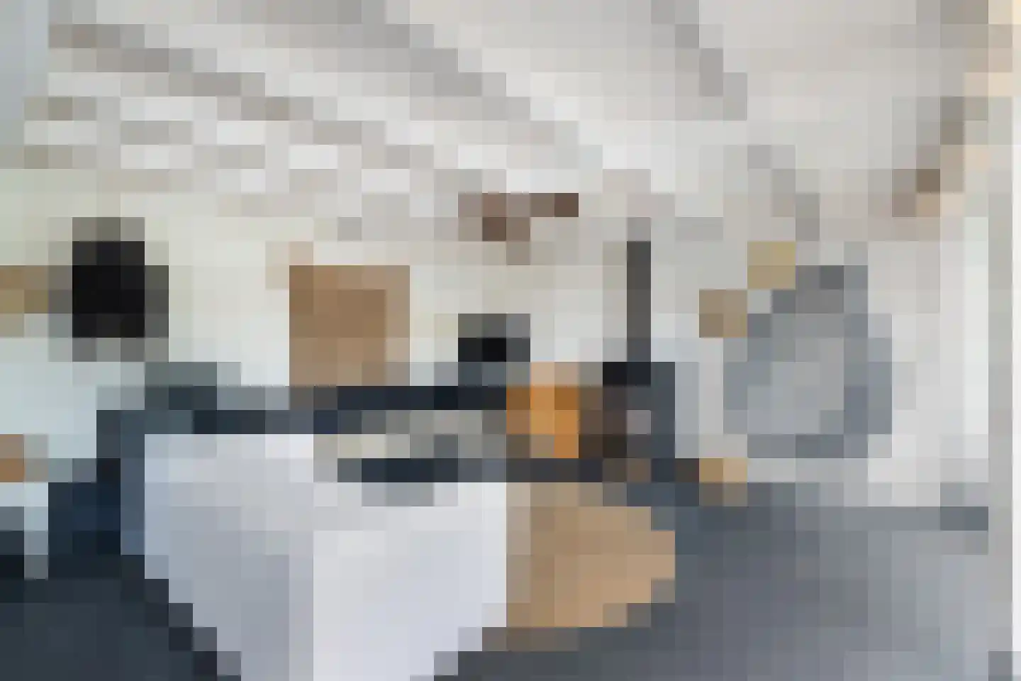 De Meent 20 Renswoude thumbnail 28