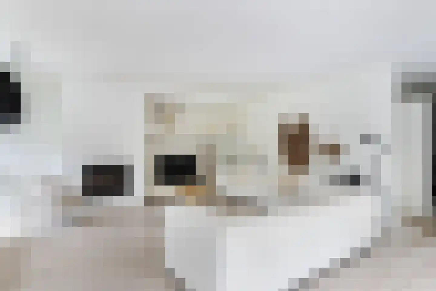 De Meent 20 Renswoude thumbnail 5