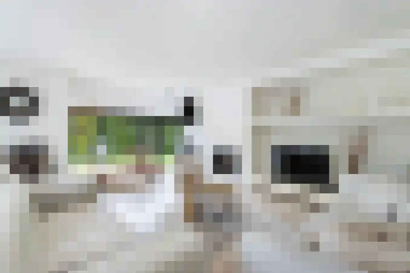 De Meent 20 Renswoude thumbnail 6