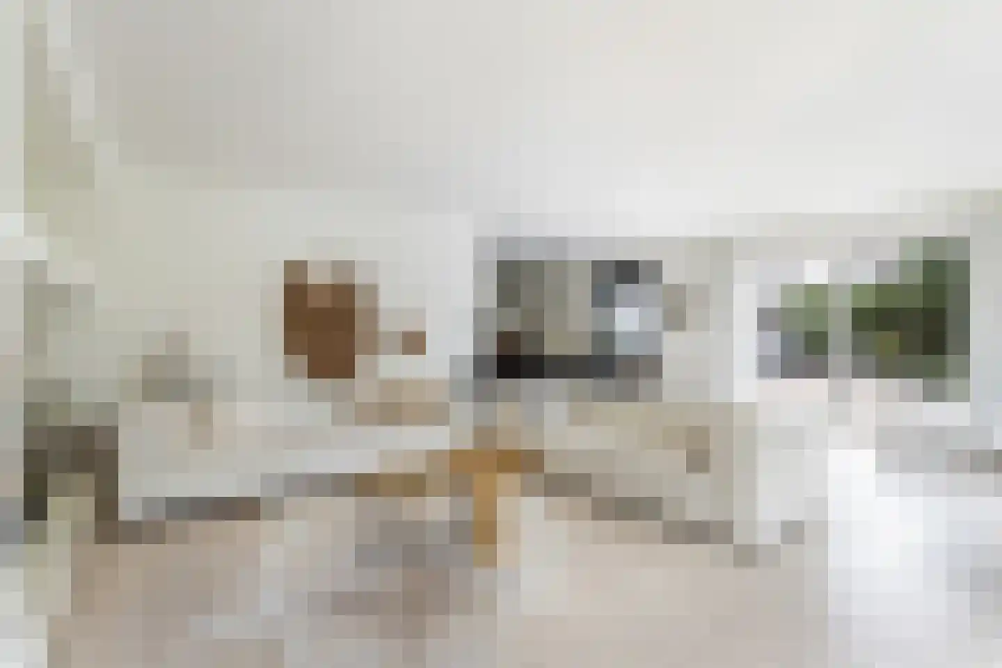 De Meent 20 Renswoude thumbnail 7
