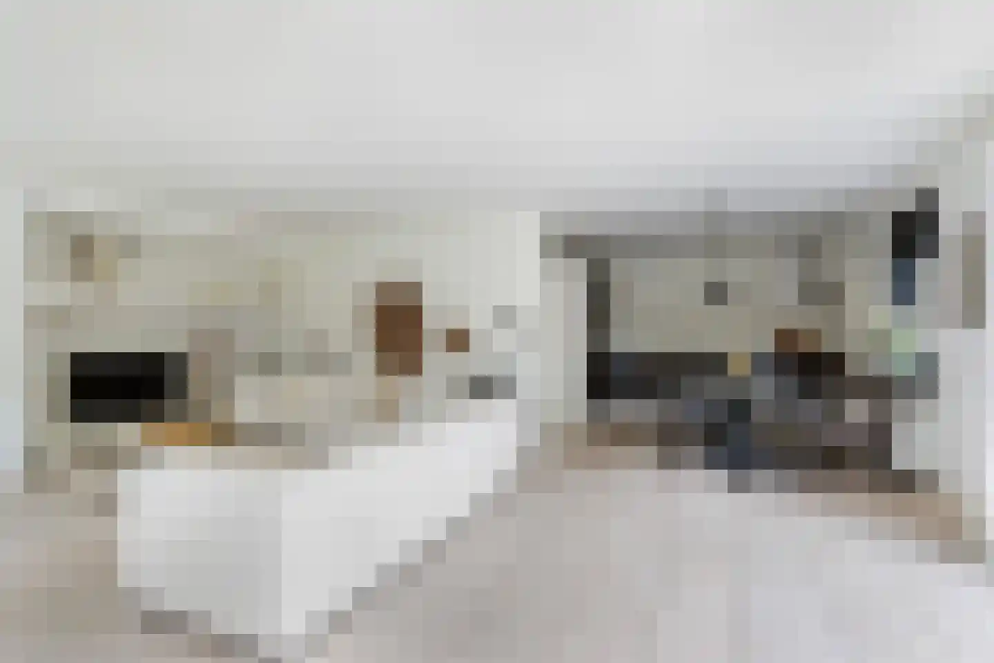 De Meent 20 Renswoude thumbnail 8