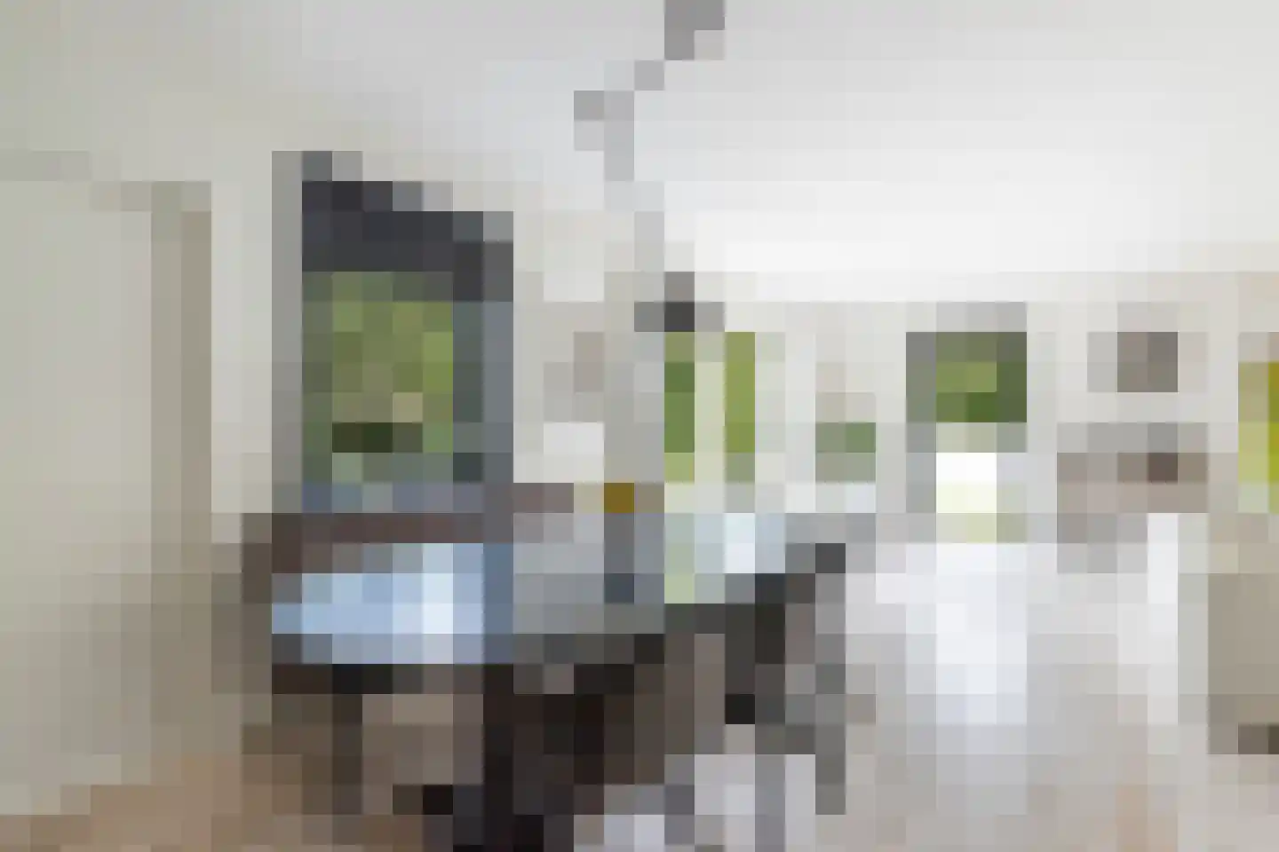 De Meent 20 Renswoude thumbnail 9
