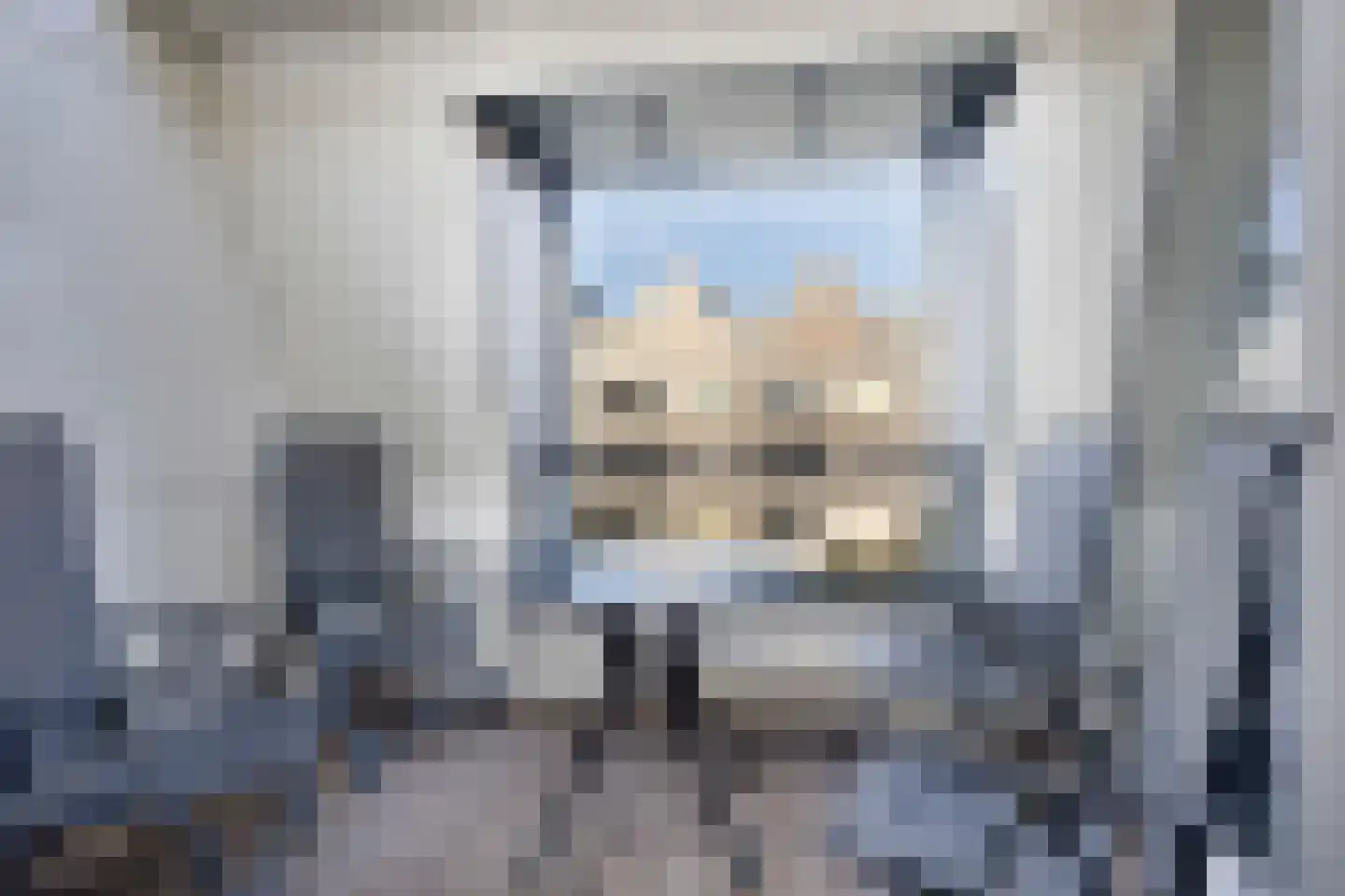 De Meent 23 Bunschoten-Spakenburg thumbnail 23