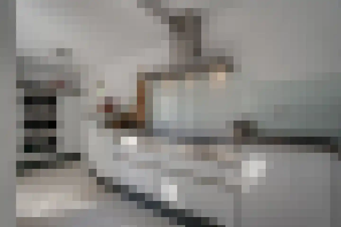 De Meent 31 Hasselt thumbnail 28