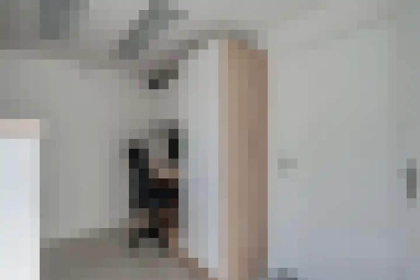 De Meent 31 Hasselt thumbnail 32