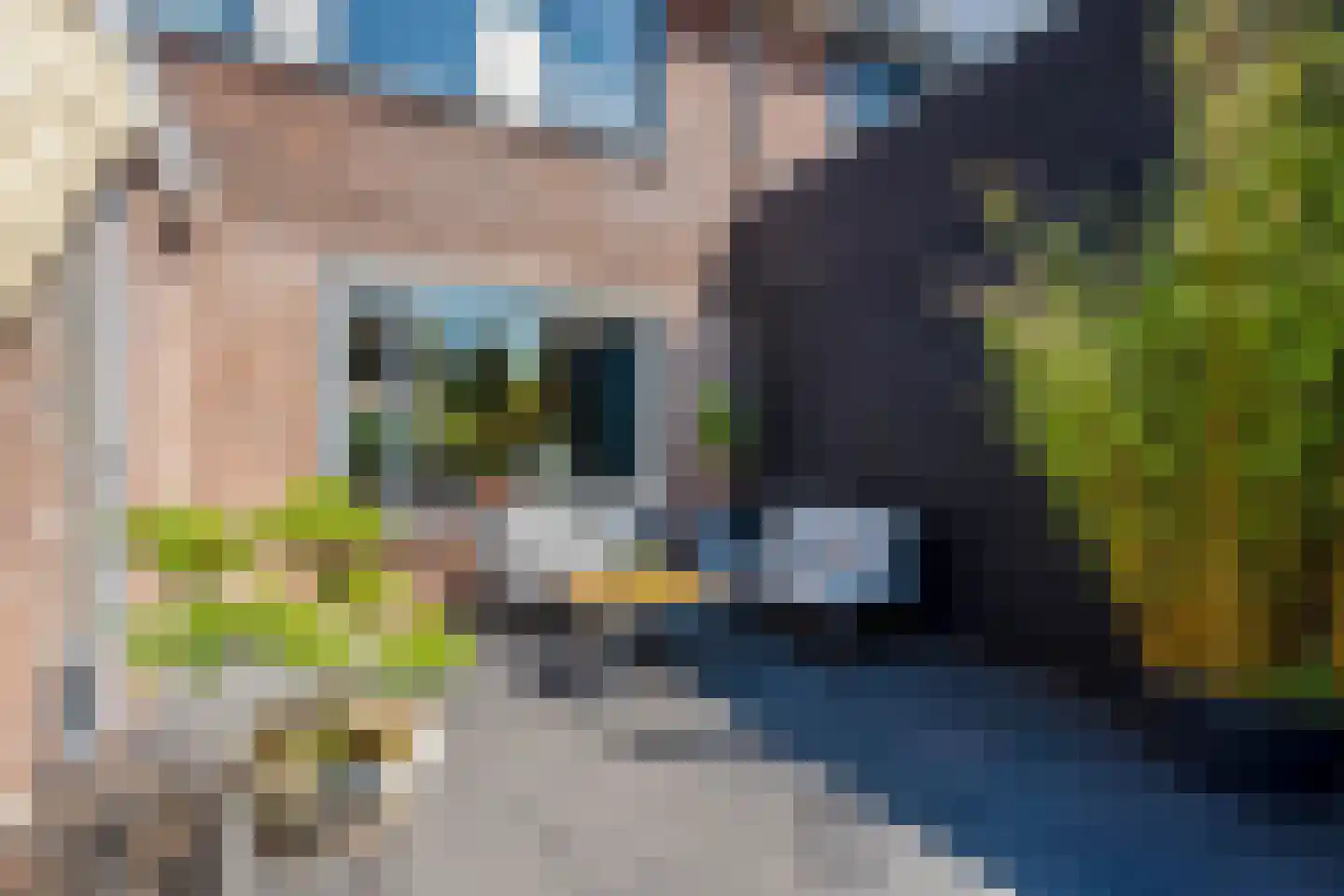 De Meent 31 Hasselt thumbnail 42