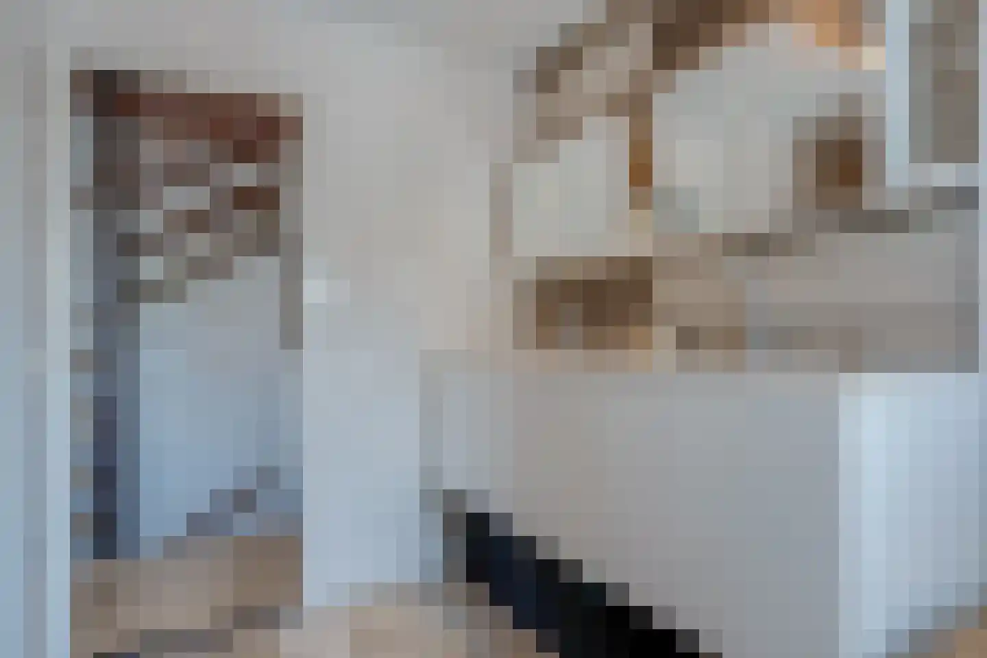 De Meent 31 Hasselt thumbnail 52