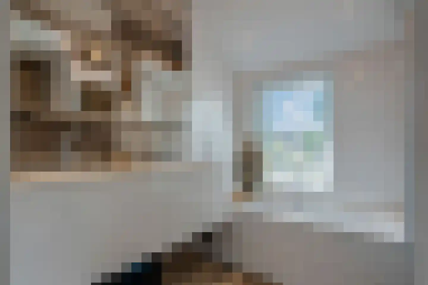 De Meent 31 Hasselt thumbnail 53