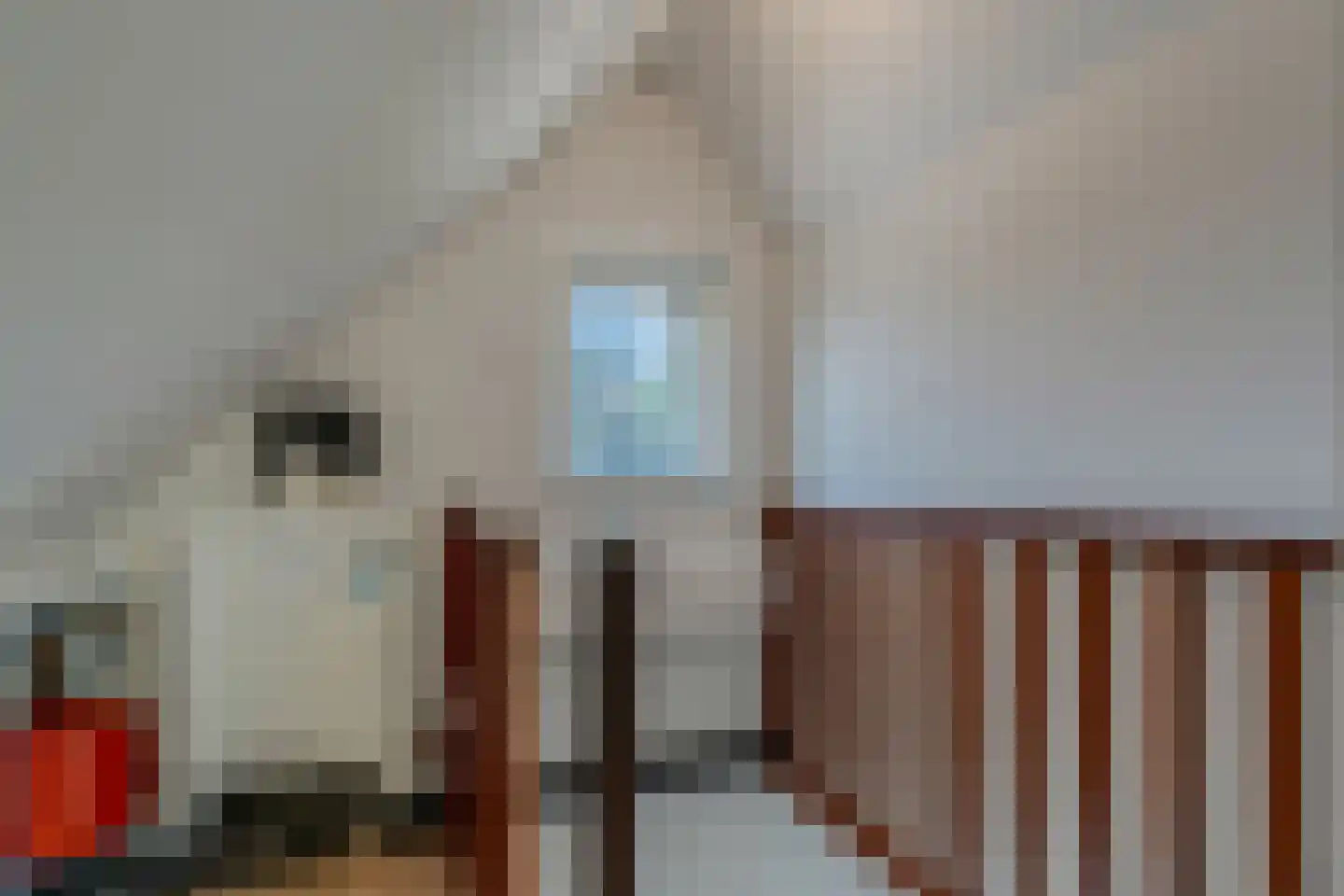 De Meent 31 Hasselt thumbnail 57