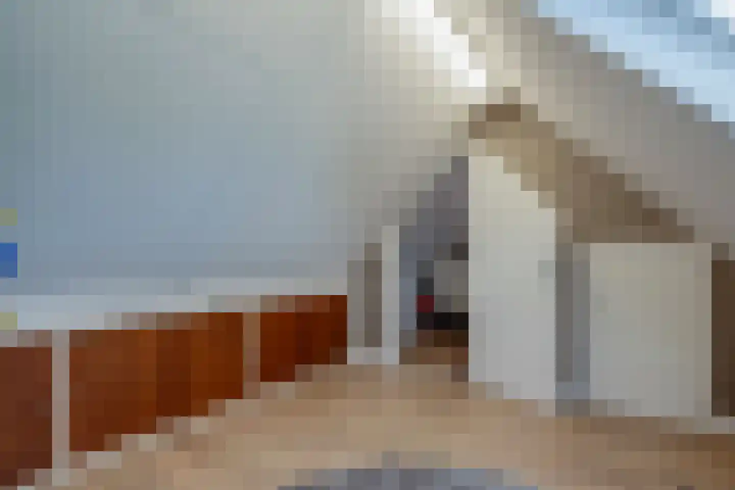 De Meent 31 Hasselt thumbnail 59