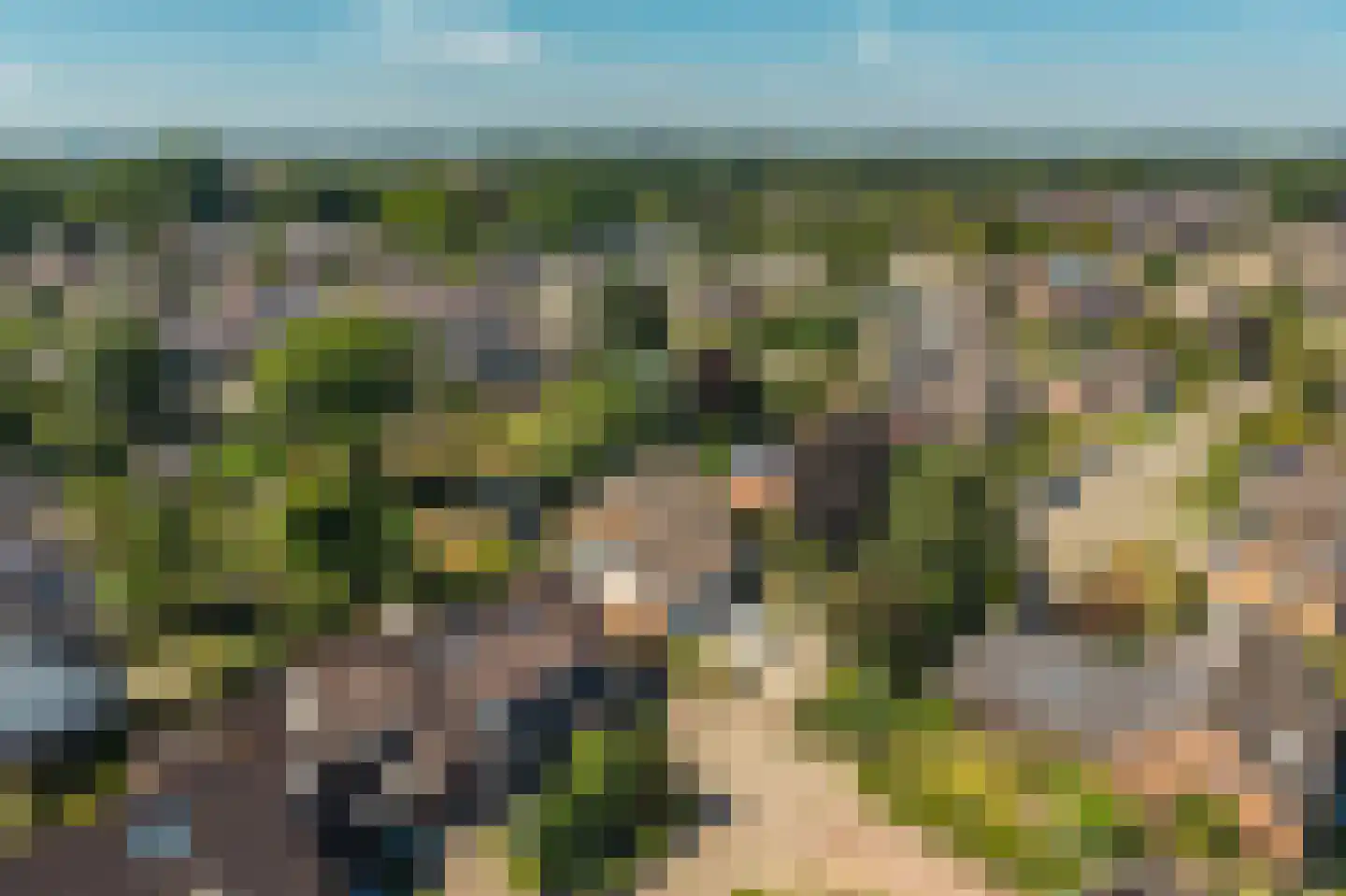 De Meent 31 Hasselt thumbnail 67