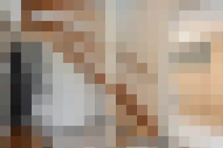De Meent 46 Hasselt thumbnail 18