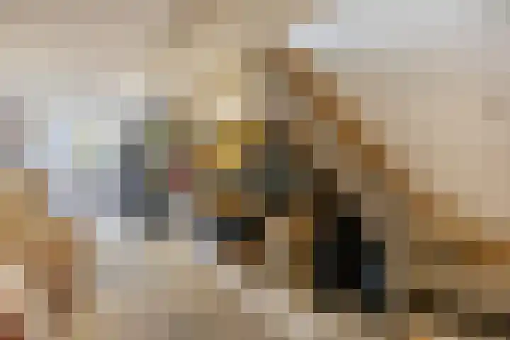 De Meent 46 Hasselt thumbnail 20