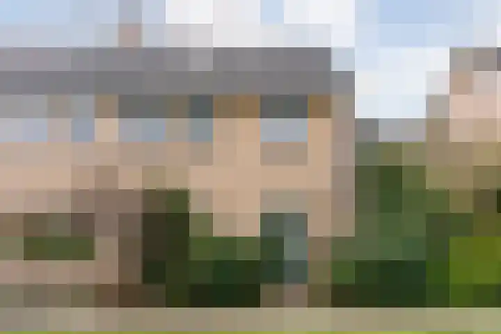 De Meent 46 Hasselt thumbnail 4