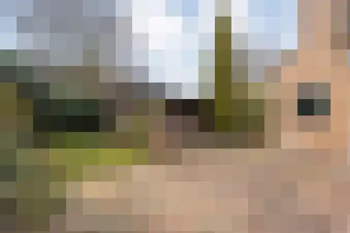 De Meent 46 Hasselt thumbnail 41