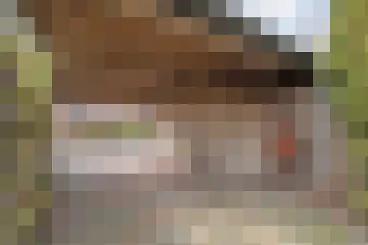 De Meent 46 Hasselt thumbnail 42