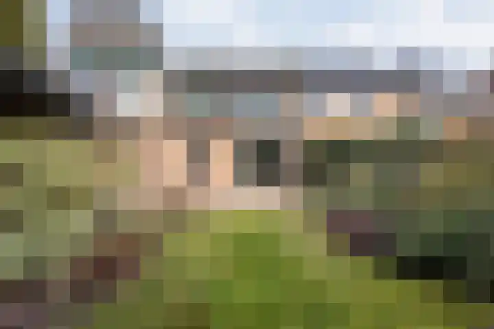De Meent 46 Hasselt thumbnail 44