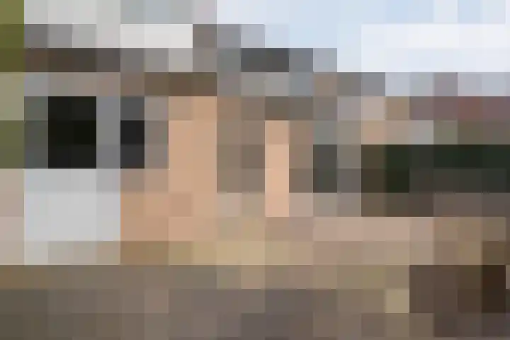 De Meent 46 Hasselt thumbnail 45