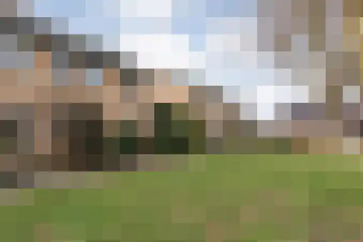 De Meent 46 Hasselt thumbnail 47