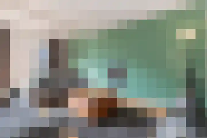 De Meent 46 Hasselt thumbnail 8