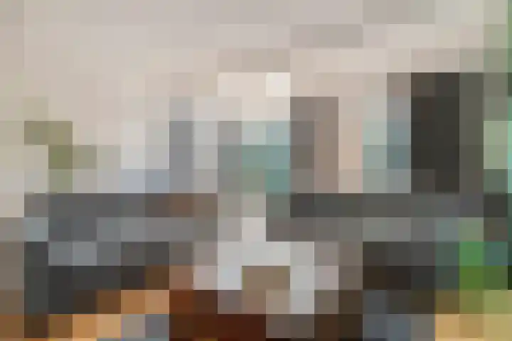 De Meent 46 Hasselt thumbnail 9