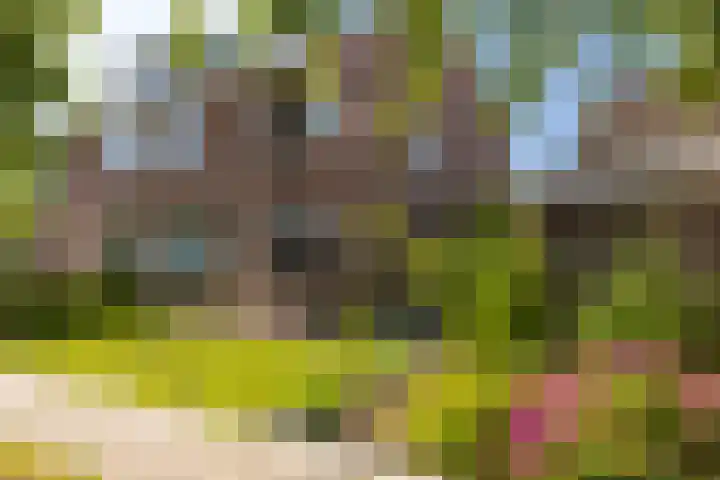 De Meent 50 Hasselt thumbnail 4