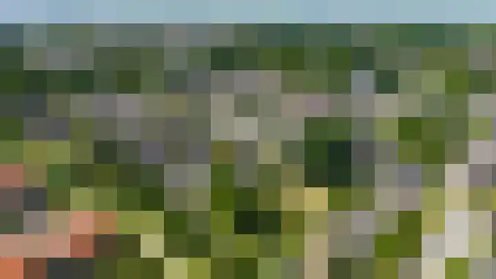 De Meent 50 Hasselt thumbnail 6