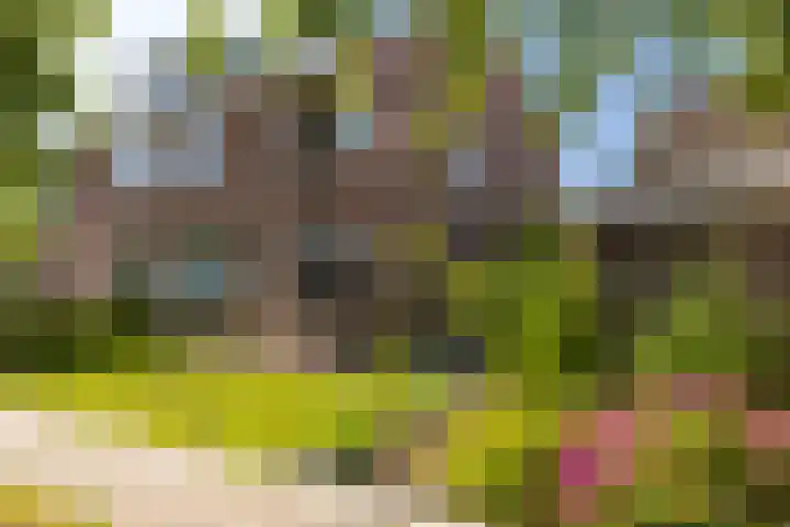 De Meent 50 Hasselt thumbnail 8