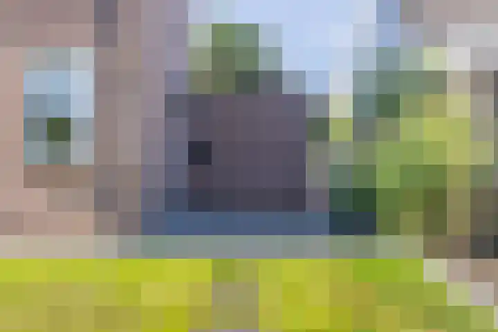 De Meent 50 Hasselt thumbnail 9