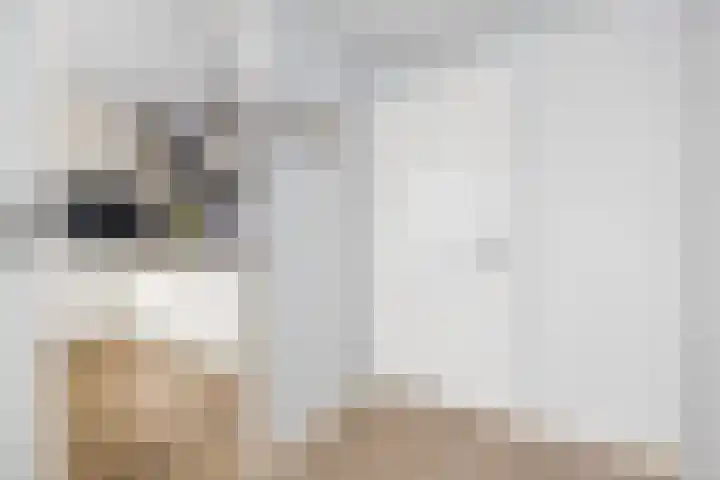 De Meent 51 Odijk thumbnail 10