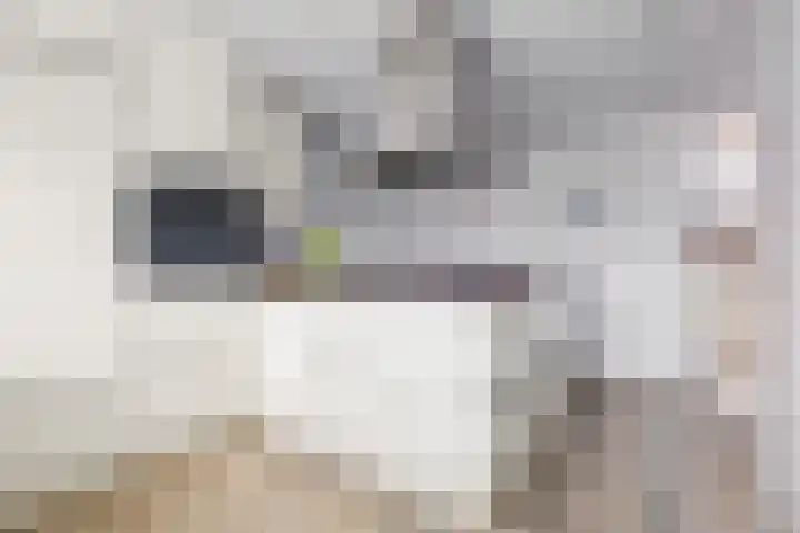 De Meent 51 Odijk thumbnail 11