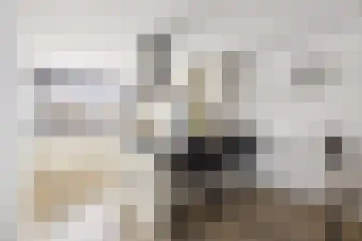 De Meent 51 Odijk thumbnail 13